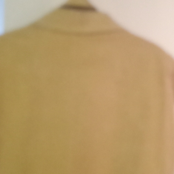 Suede Tan Dress - Picture 3 of 4